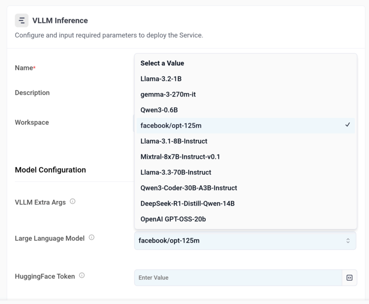 Inference Endpoint options